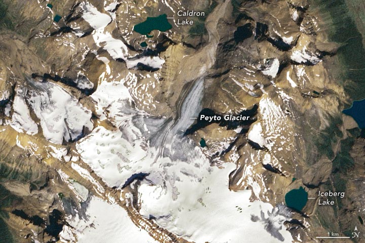 Peyto Glacier 1999 Annotated