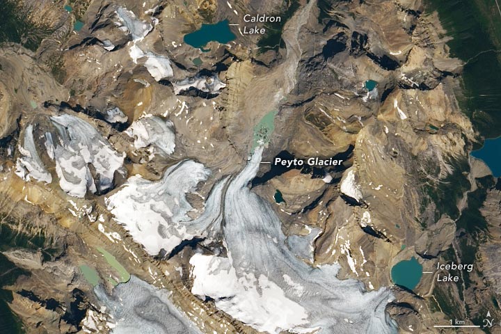 Peyto Glacier 2021 Annotated