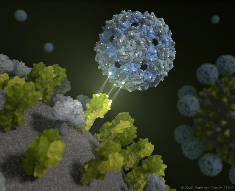 Phage Shell Inhibits Influenza Virus