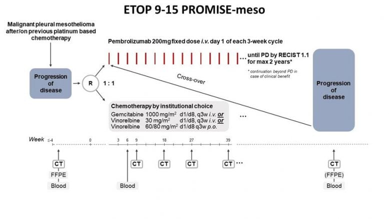 Phase III PROMISE Meso Trial Design