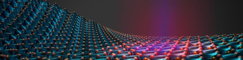 Phase Transitions in 2D Materials