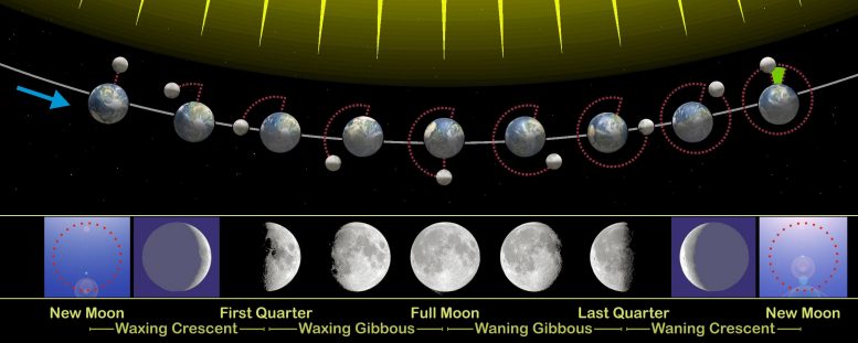 Phases of the Moon From Earth