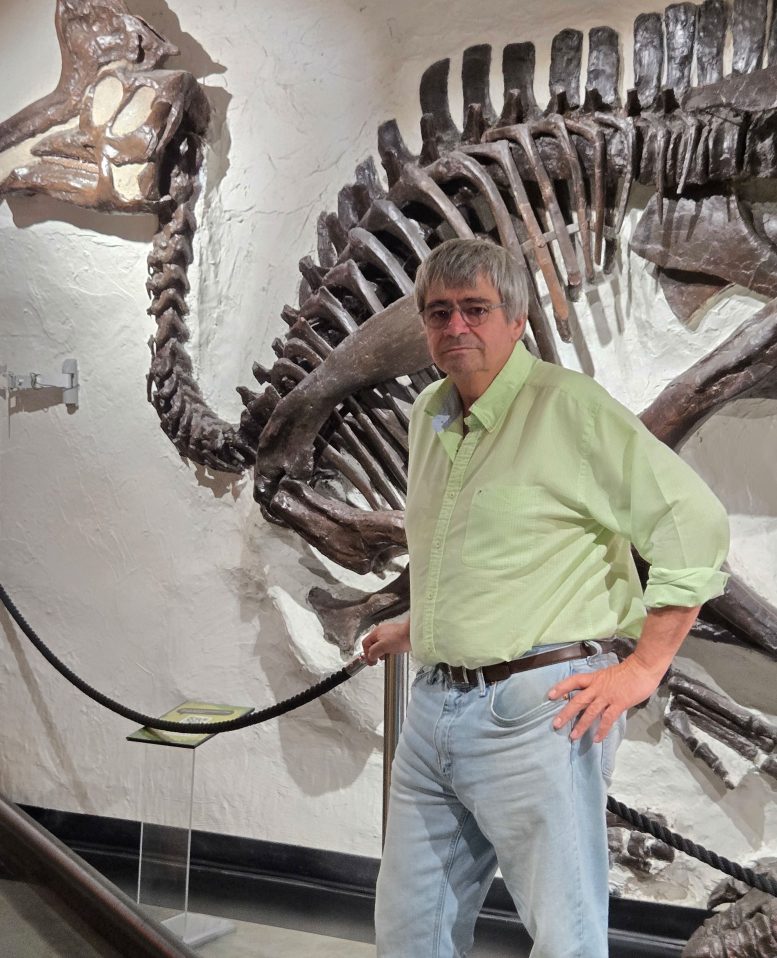 Philippe Claeys Beside Fossil Display