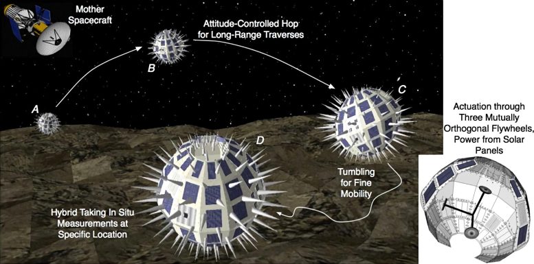 Phobos Surveyor Spacecraft and Hedgehogs