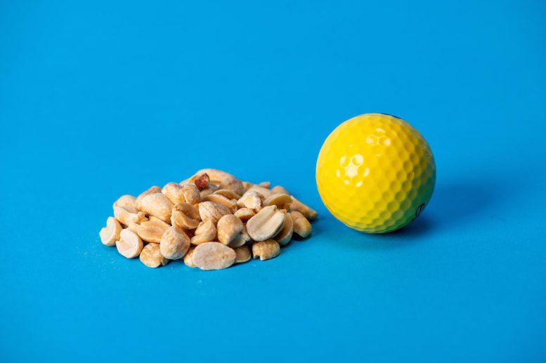 Photo Illustration of a Serving of Nuts, Golf Ball