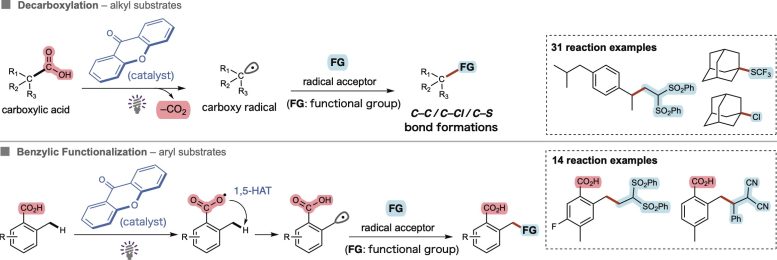 Photocatalytic Decarboxylation and Benzylic Functionalization With Xanthone
