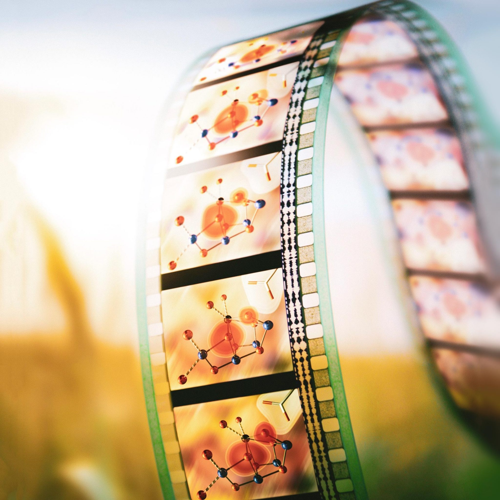 Photosynthesis Showtime