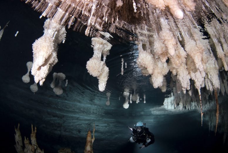 Phreatic Overgrowths on Speleothems Drac Cave