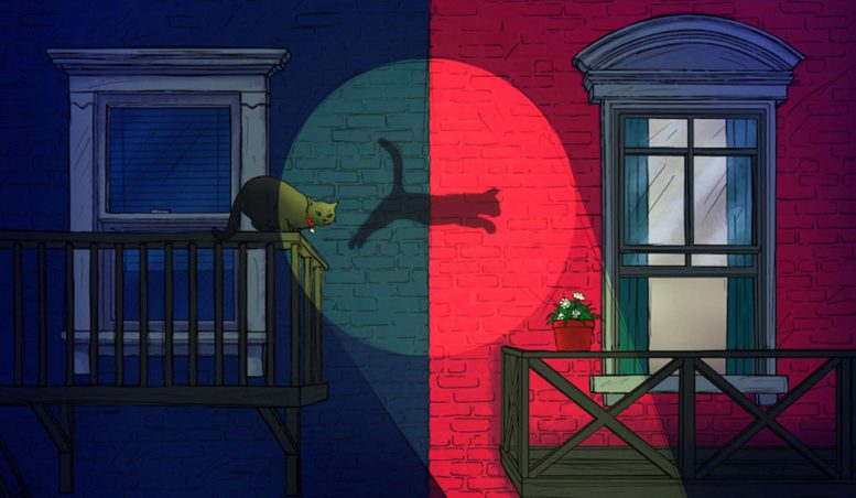Physicists Predict Jumps of Schrödinger’s Cat