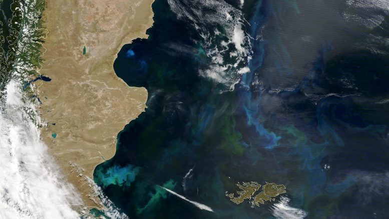 Beguiling Phytoplankton Bloom in the Baltic Sea Looks Incredible