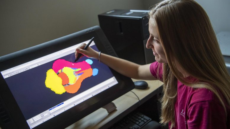 A New Complete, High-Resolution 3D Map of the Mouse Brain [Video]