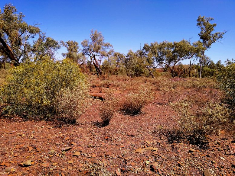 Pilbara landscape