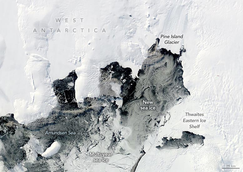 Pine Island Bay March 2025 Annotated