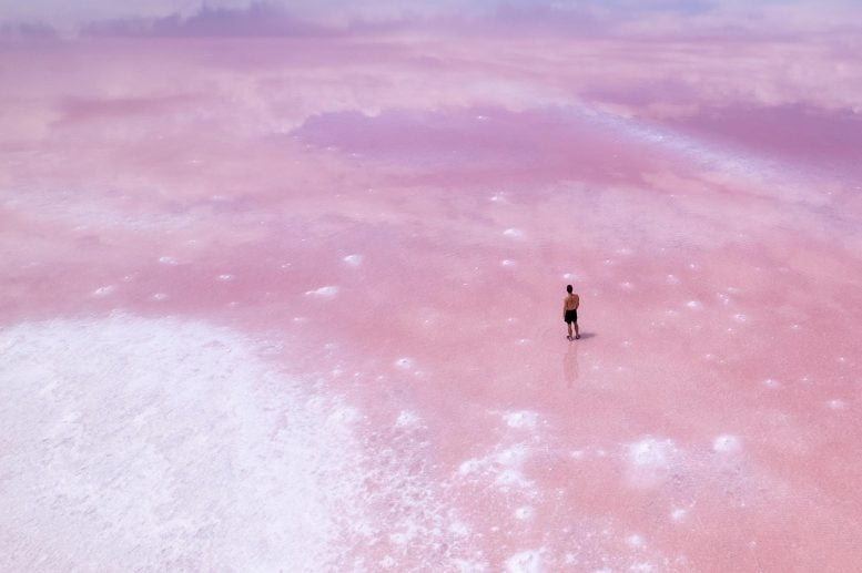 Scientists Uncover Mysterious “Oases” on the Drying Shores of the Great Salt Lake