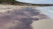 Pink Sand on a Beach in Dhilba Guuranda Innes National Park