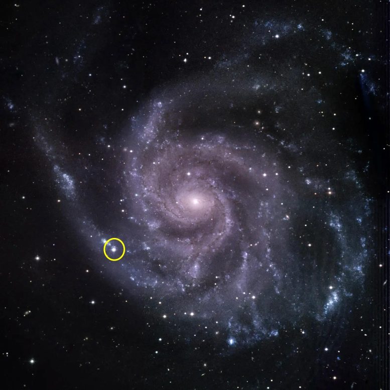 Вертушка Галактики Сверхновая 2023ixf