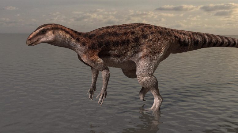 Pisanosaurus like Dinosaur