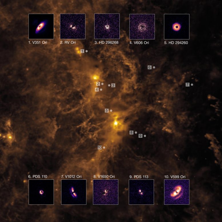 Planet-Forming Discs in the Orion Cloud