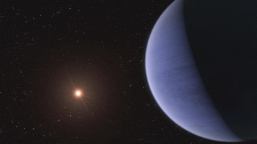 Planet L 98–59d