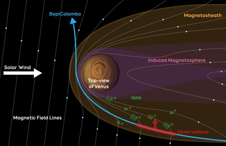 Planetary Material Escaping Through Venus Magnetosheath Flank