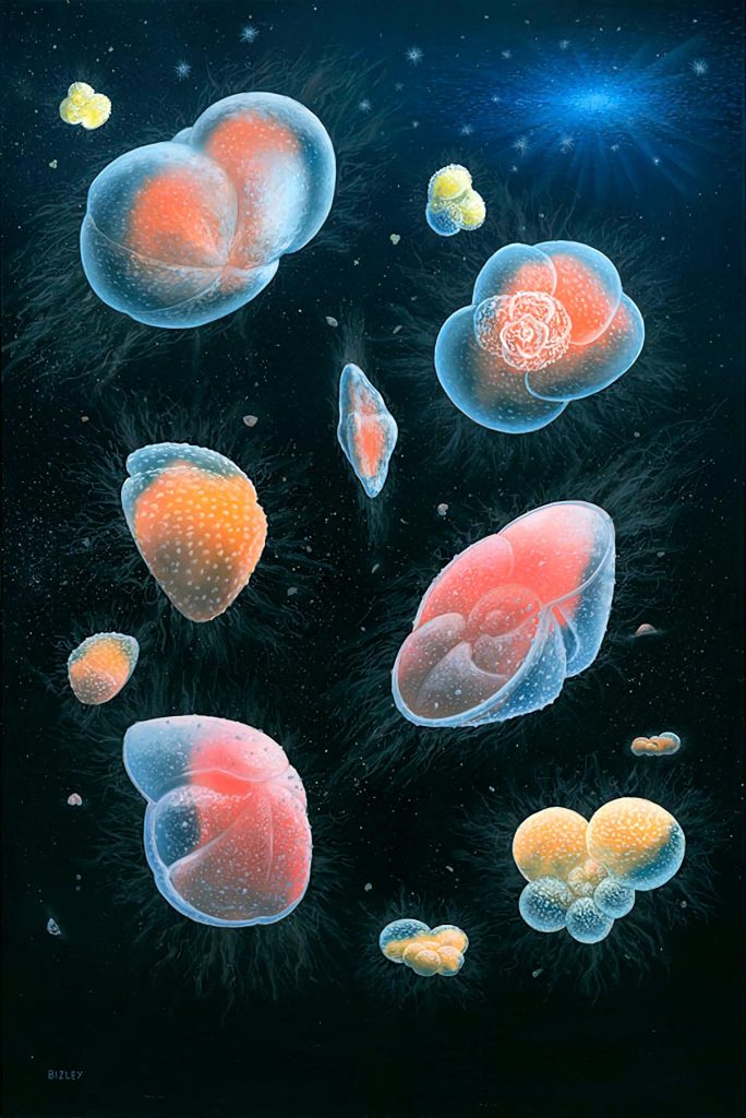Planktonic foraminifera Painting