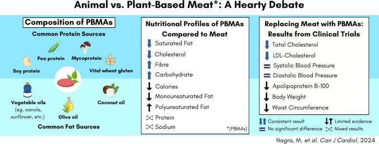 חלופות בשר על בסיס צמחי יותר גרפי פרופיל תזונתי מגן על הלב