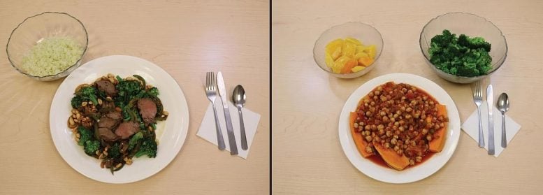 Plant Based vs Meat Based Diet
