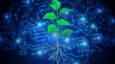 Green Revolution 2.0: Scientists Use AI To Create Carbon-Capturing Plants