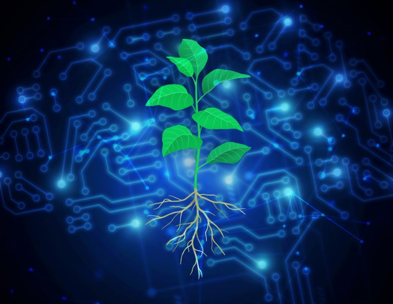 تصویر تولید شده توسط رایانه از یک گیاه