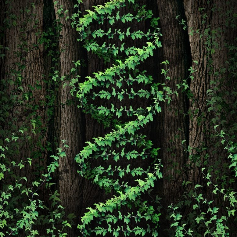 Plant DNA Concept