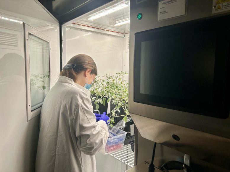 Plant Growth Chamber