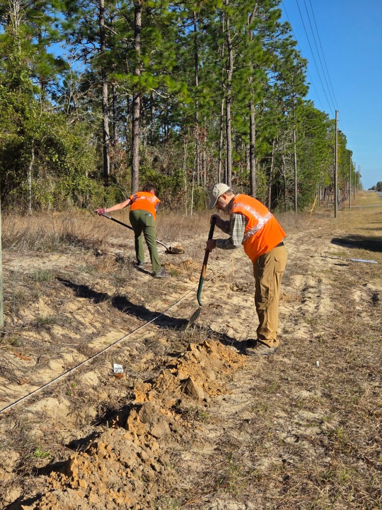 Planting Milkweed Along Florida Roadsides