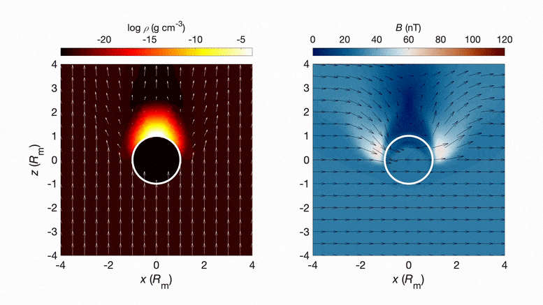Evolution of plasma flow and magnetic field
