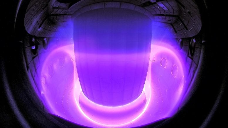 Plasma Inside TCV Tokamak