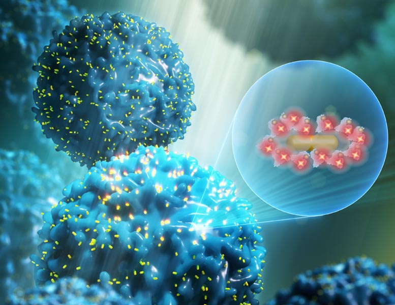 Plasmonic-Fluor
