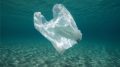 Plastic Bag Ocean