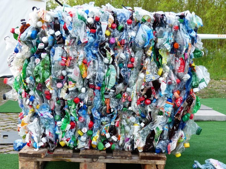Plastic Bottles Recycling