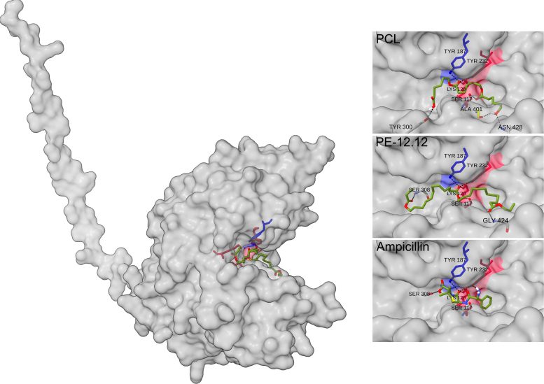 Plastic Depolymerase Structure With Three Bound Substrates