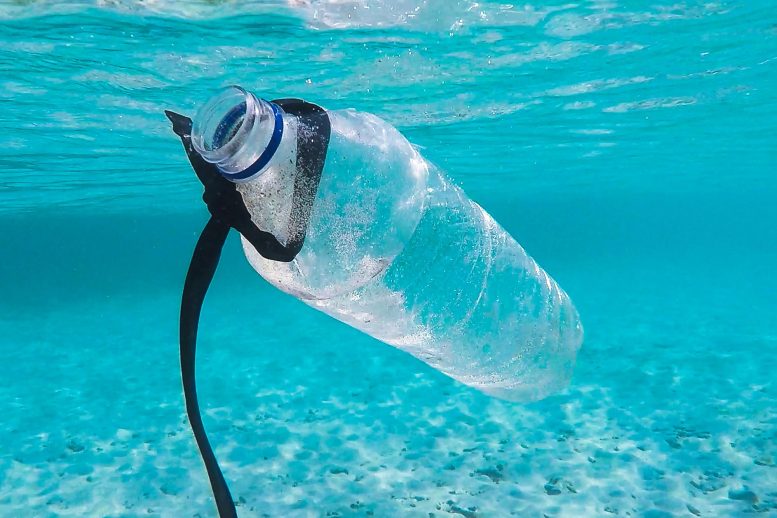 Plastic Marine Litter