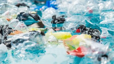 The Entire Ocean Ecosystem Is Threatened – Scientists Uncover Shocking Spread of Plastics Beyond Known Garbage Patches