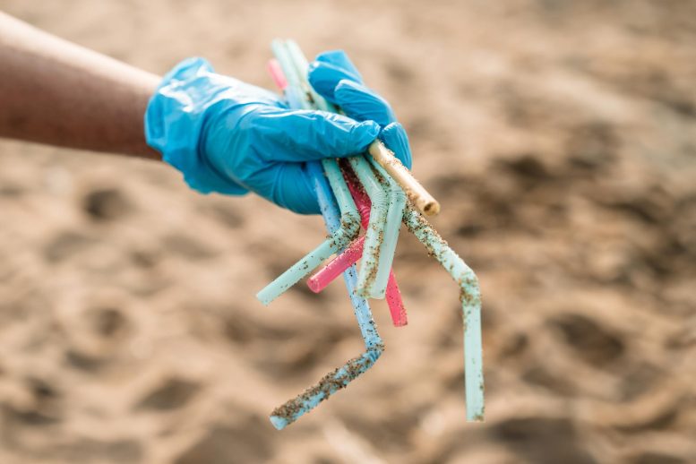 Plastic Straws Litter Beach