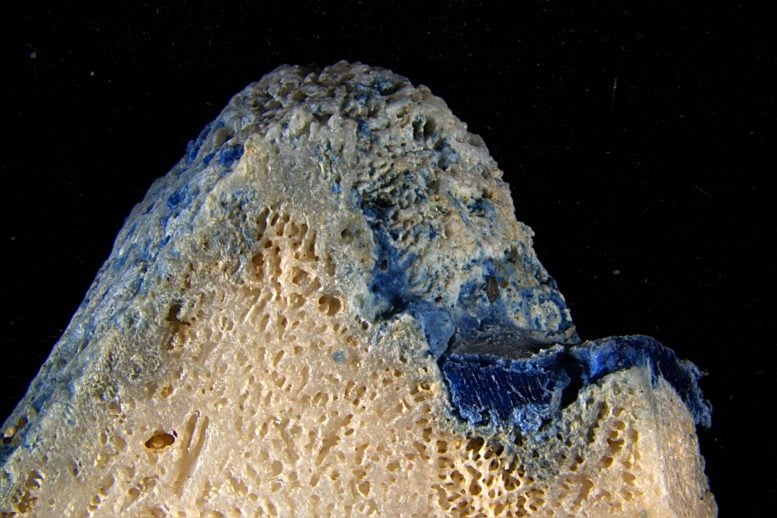 A Disturbing New Kind of Coral Pollution Is Forming on Japan’s Beaches