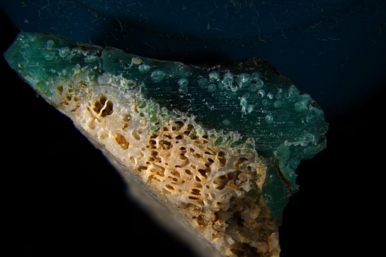 Plasticoral From Sosu Beach