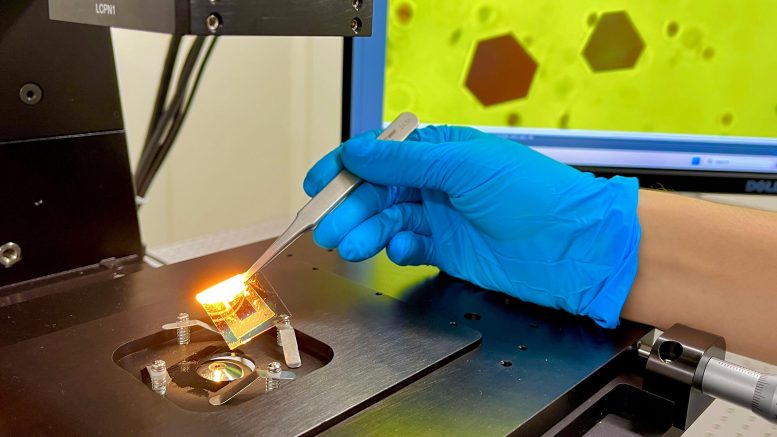 Platform of Gold Reveals the Forces of Nature&rsquo;s Invisible Glue