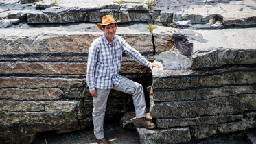 Platinum-Bearing Chromite Layers Are Caused by Pressure Reduction During Magma Ascent