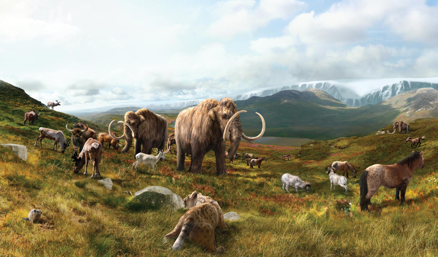 Ancient DNA Discovery Reveals Woolly Mammoths Wild Horses Survived 