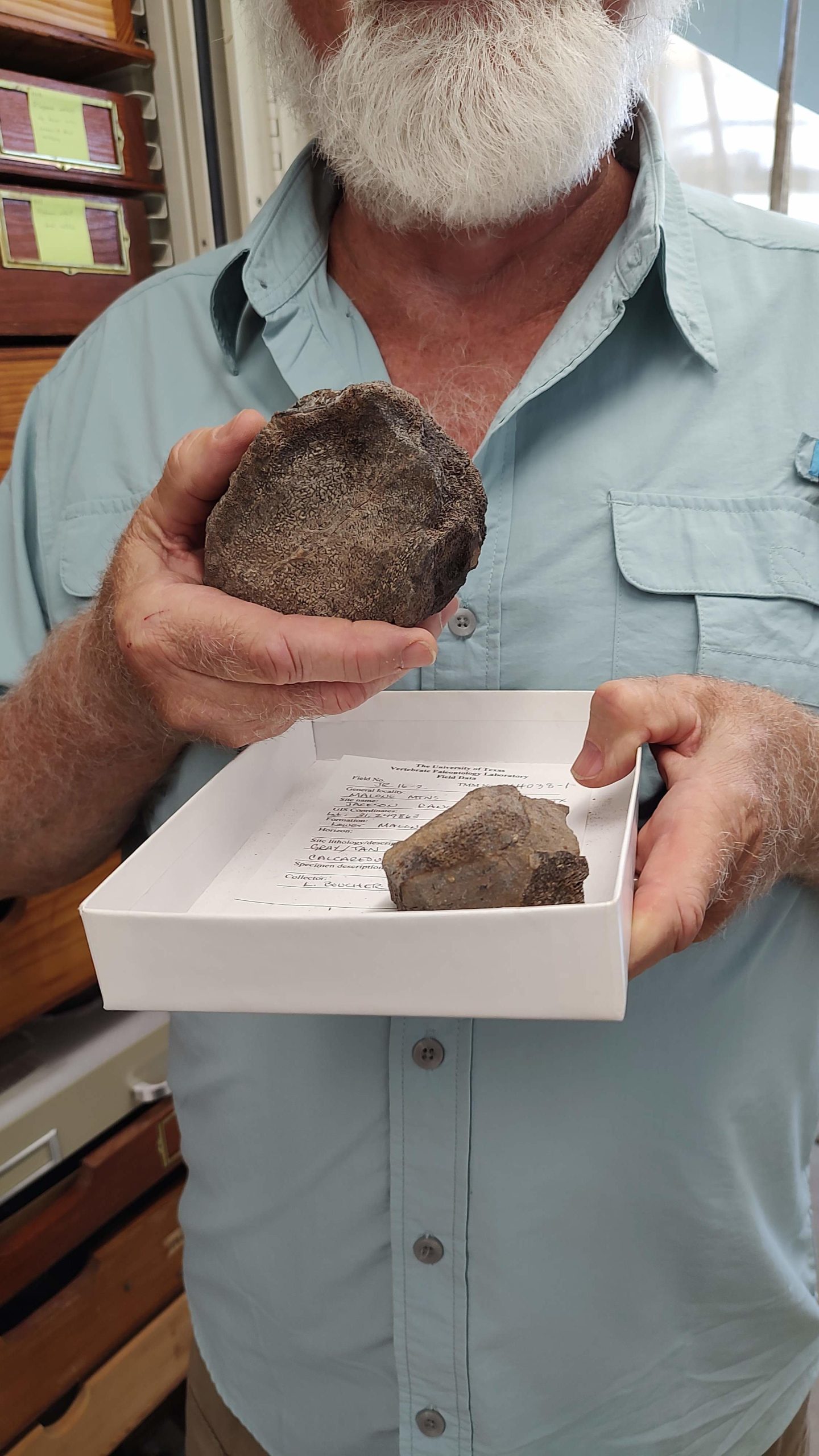 Agad Rocks First-Ever Jurassic Vertebrate Fossils Discovered in Texas