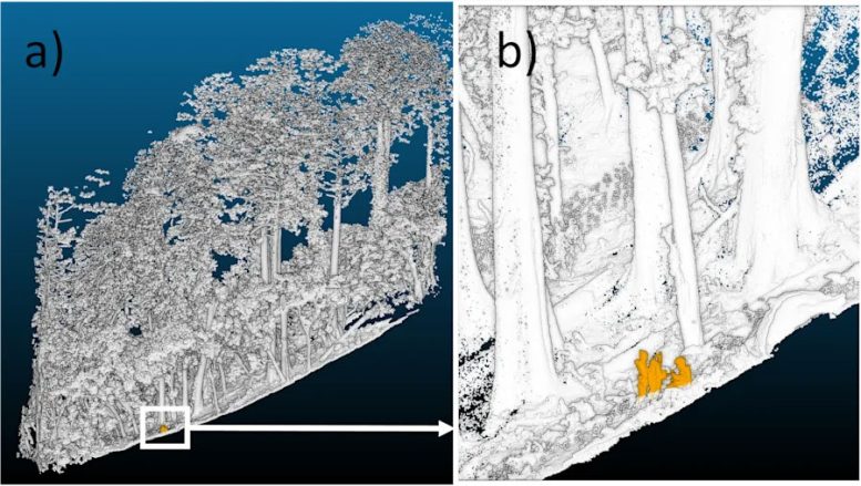 Point Cloud Data of the Temples of Giants