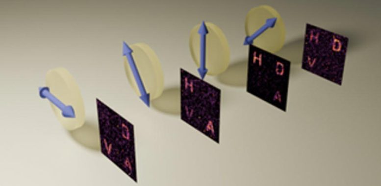 Polarization and Holographic Information Become Entangled in a Quantum Hologram