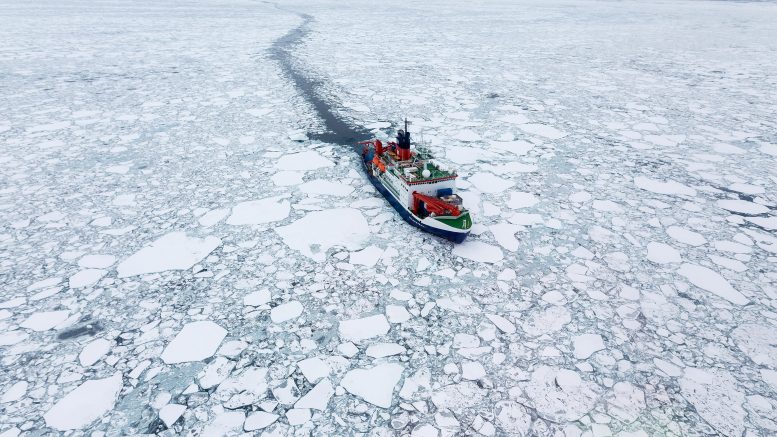 Polarstern à deriva no gelo marinho do Ártico
